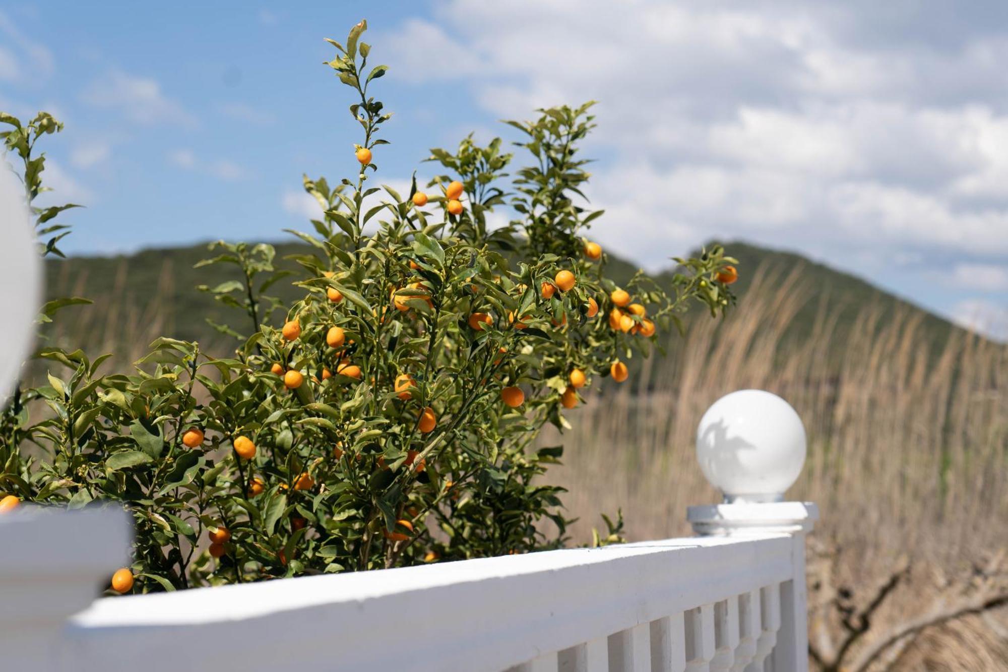 Hotel Alexandros Ammoudiá Eksteriør bilde
